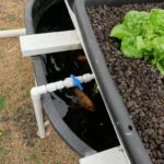 Aquaponics - Predict and Prepare