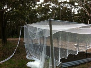 bird netting garden - Predict and Prepare .com