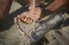 Survivial Example Survival Definition: Understanding the Different Forms of Survival